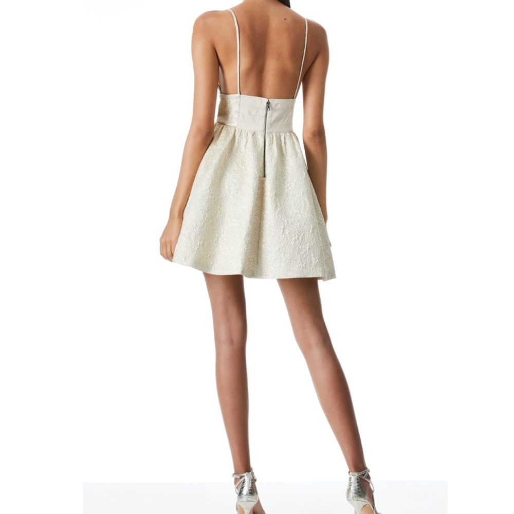 Alice & Olivia Foley Curved Waist Party A-Line Dress, Size 4 - Picture 2 of 15